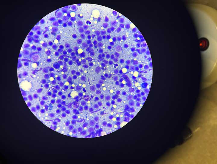 In-House Lab & Pet Cytology